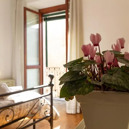 Mamma Ciccia - Front Apartamento